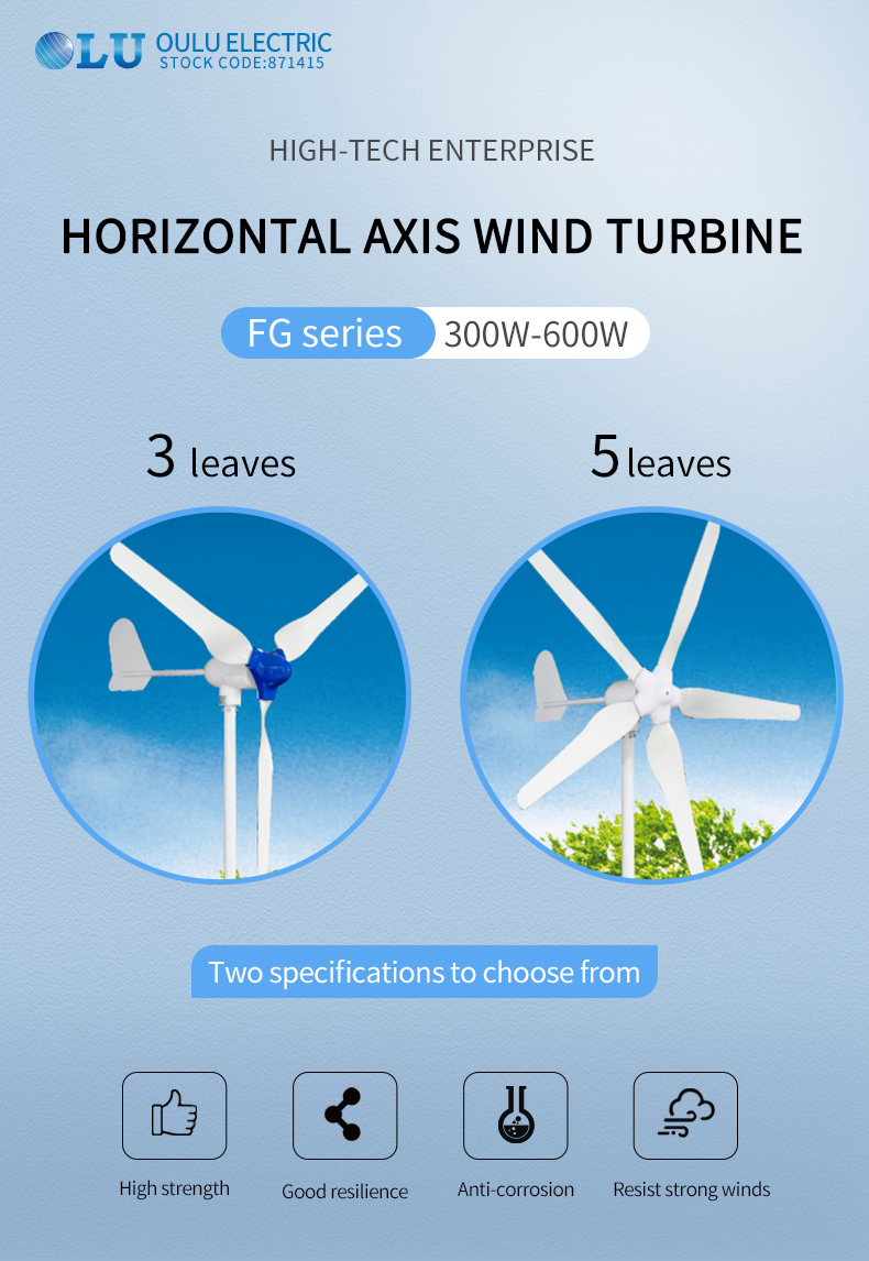 FG风力发电机300W-600W_01.jpg