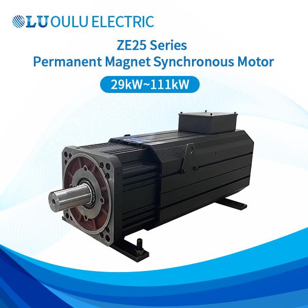 ZE25 Series Permanent Magnet Synchronous Motor